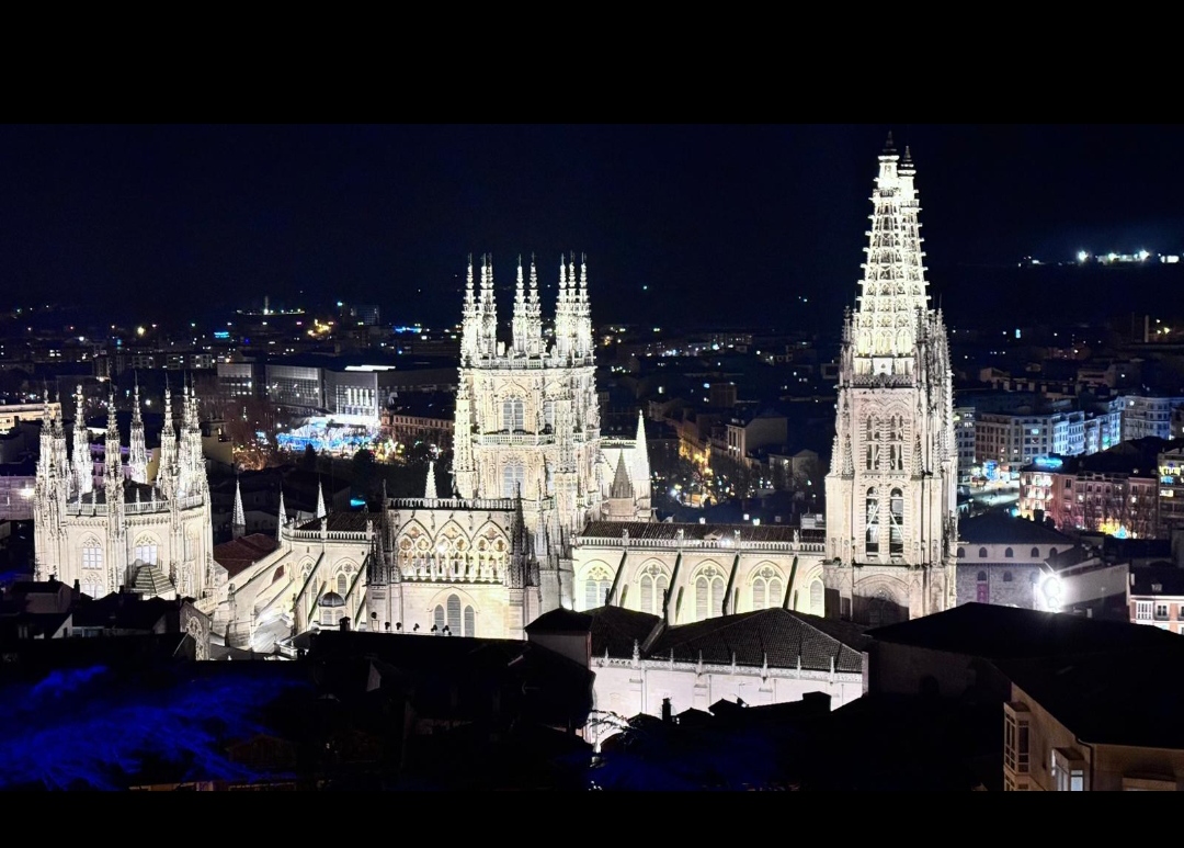 VISITAS GUIADAS BURGOS